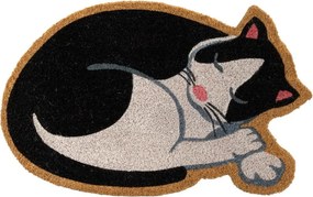 Изтривалка от кокосови влакна 40x60 cm Cat – Casa Selección