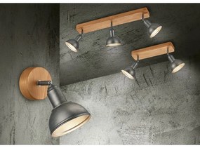 Прожектор в тъмносив и естествен цвят 11x33 cm Delhi – Trio