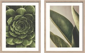 Печатни картини в комплект 2 бр. с включена рамка 30x40 cm Beauty Green – Styler