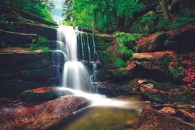 Фототапет – Водопад в гората