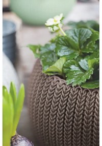 Пластмасова висяща стенна саксия за цветя ø 28 cm Cozy – Keter