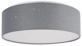 Rabalux - LED таванно осветително тяло LED/22W/230V сиво