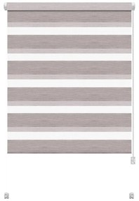 Кафяво-сива ролетна щора ден и нощ 42,5x150 cm Zebra Silvalin – Gardinia