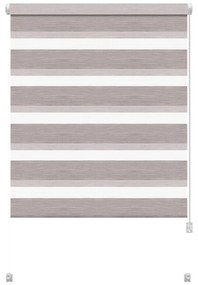 Кафяво-сива ролетна щора ден и нощ 68x215 cm Zebra Silvalin – Gardinia