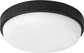 Rabalux 77223 - LED Външно таванно осветително тяло HORT2 LED/14W/230V IP54 черно