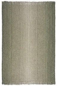 Зелен килим 160x230 cm - Flair Rugs