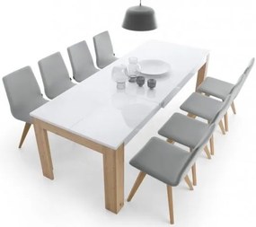 Маса Lynx ΙΙ разширяема-Fusiko-Leuko