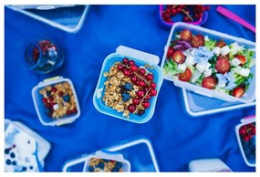 Синя кутия за обяд и закуска с прибори за хранене, , 650ml+230m Push&amp;Push - Vialli Design