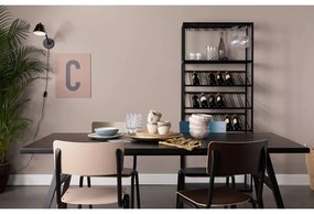 Трапезни столове в цвят петрол в комплект от 4 броя Back to school - Zuiver