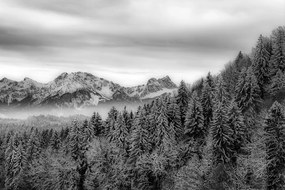 Фототапет – Черно-бели замръзнали планини
