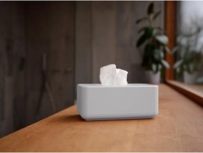 Пластмасова кутия за носни кърпички Ume – Zone