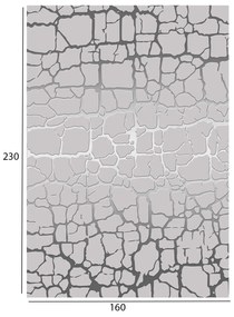 Килим 160х230 - HM7675.19 сиво-сребрист цвят