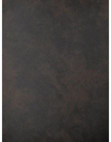 Тъмносиви трапезни столове в комплект от 2 бр. Sierra – Rowico