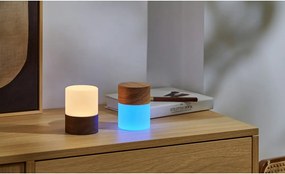 Настолна лампа в естествен цвят със стъклен абажур и възможност за затъмняване (височина 10,5 cm) Lemelia - Gingko