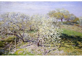 Репродукция на картина на Клод Моне - , 90 x 60 cm Spring - Fedkolor