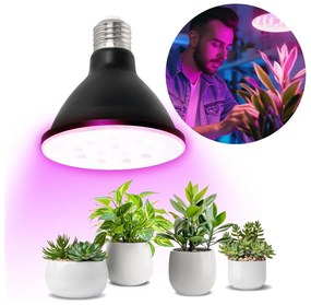 LED Крушка за растения VITABLOOM E27/9W/230V 1200K черен - Brilagi
