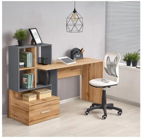 Писмено бюро GORA дъб Wotan/антрацит