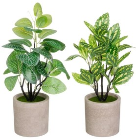 Изкуствени растения в комплект от 2 бр. (височина 28 cm) – Casa Selección