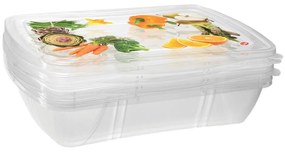 Комплект от 3 класически кутии за храна, 1 л - Snips