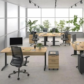 Състав на бюро Desert