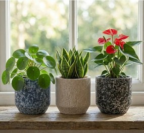 Керамично ръчно изработено покритие за кашпа ø 14 cm Almada – Ego Dekor