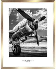 Рамка за стена в златно, 43 x 53 cm Floryda - Styler