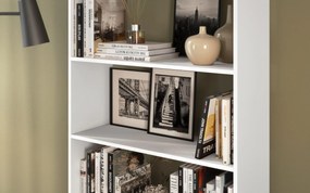 Секция Клио