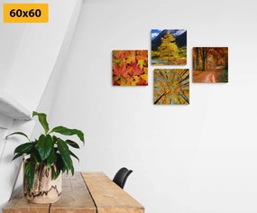 Комплект картини – Есенна природа в красиви цветове