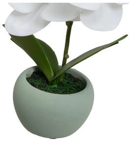 Изкуствени растения в комплект от 3 бр. (височина 15 cm) Orchid – Casa Selección