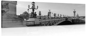 Картина на платно – Мост Александър III в Париж в черно и бяло