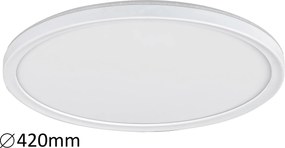 Rabalux Pavel Вградени и повърхностно монтирани лампи IP20 LED 22W 3428