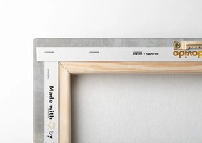 Картина на платно – Луксозен Shabby Chic натюрморт