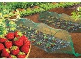 Мрежа за защита от птици Birdnet - Екструдирана 2 х 5 метра