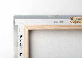 Картина на платно – Цветя в купа със Зен камъни