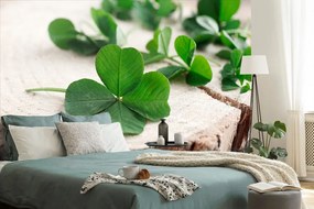 Фототапет – Зелени детелини