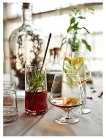 Чаши за ликьор в комплект от 2 броя 450 ml Rocks - Zone