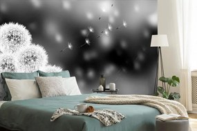 Тапет – Черно-бяло пухкаво глухарче