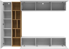 Холна секция Kodita-Leuko-Grafitis