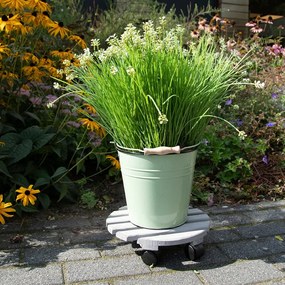 Дървена подвижна стойка за саксии ø 29 cm (височина 8 cm) Indoor &amp; Outdoor – Esschert Design