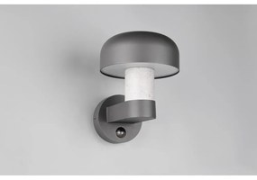 Стенно външно осветително тяло (височина 24,5 cm) Fraser – Trio