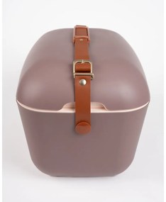 Кафява хладилна чанта 12 l Classic Gold – Polarbox
