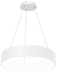 LED Висящ полилей OHIO LED/24W/230V