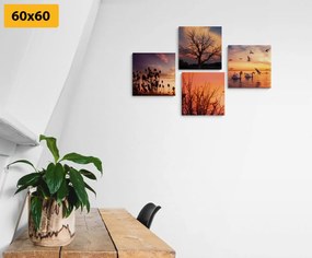 Комплект картини – Очарователна природа