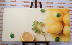 Картина на платно – Лимони с мента