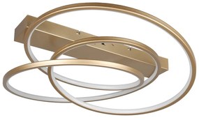 LED затъмняващо се осветително тяло за таван златно 49x64 cm Darvin – Trio