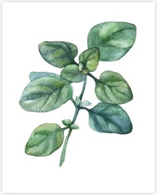 Плакат 40x50 cm