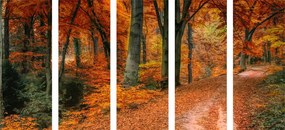 картини от 5 части – Гора в есенния период