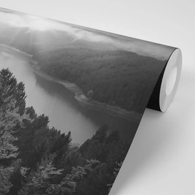 Фототапет – Река в средата на гората в черно-бяло
