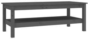 814276 vidaXL Кафе маса, сива, 110x50x40 см, борово дърво масив