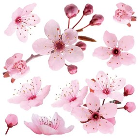 Декоративни стикери за стена Cherry Blossom M